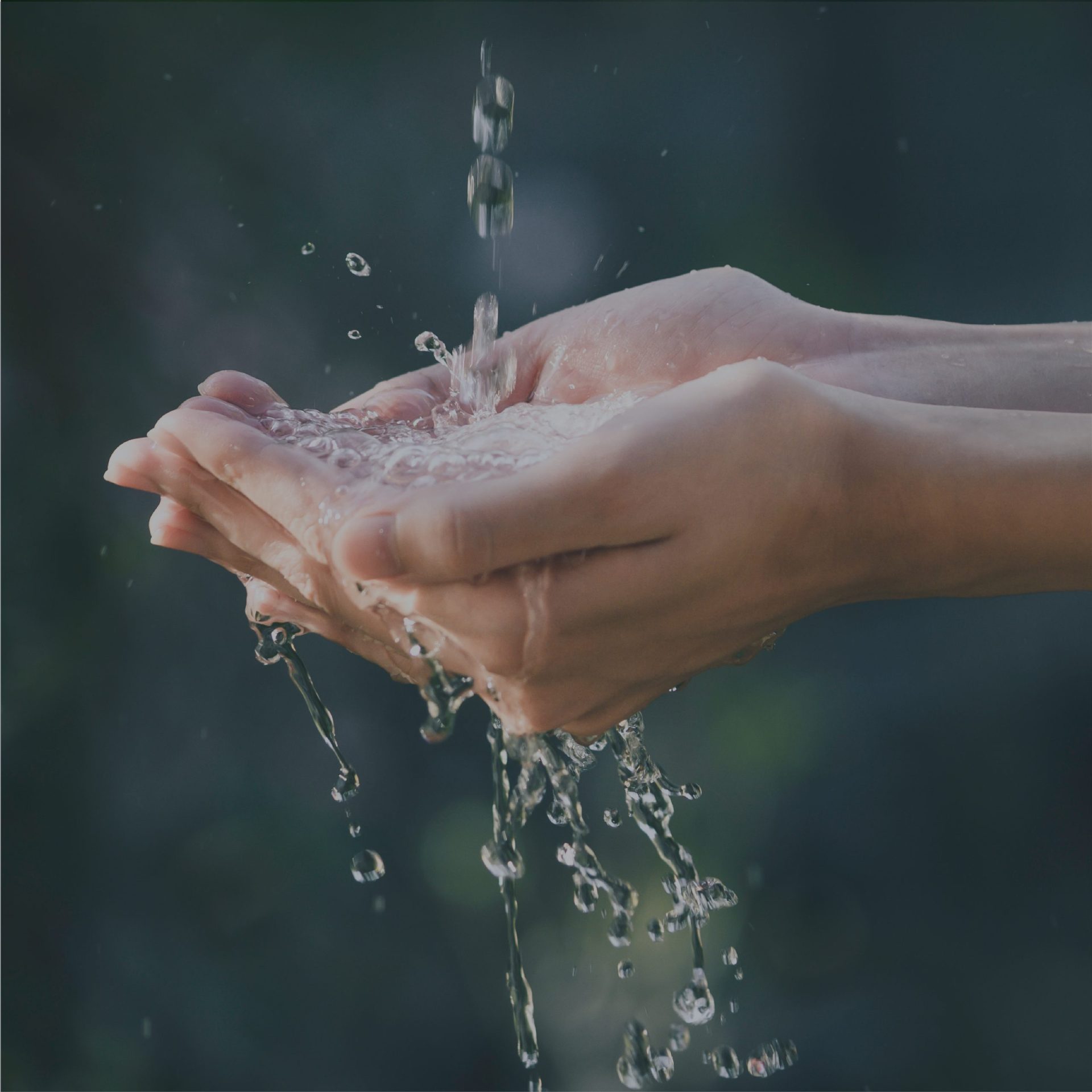 Agissons pour la planète en réduisant la consommation d’eau dans les bâtiments professionnels !