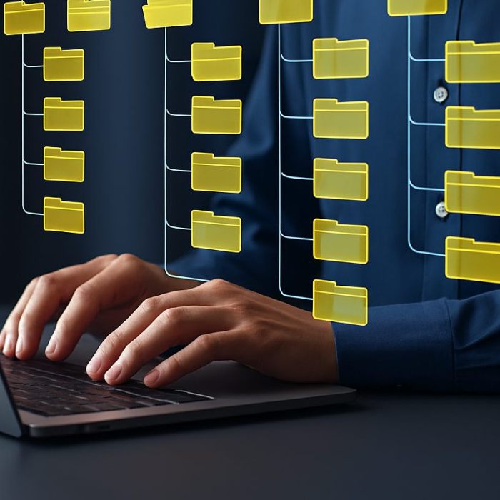 gestion numérique